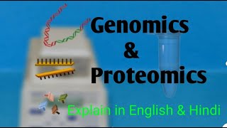 Genomics and Proteomics and its types  explain in english and Hindi [upl. by Collis644]