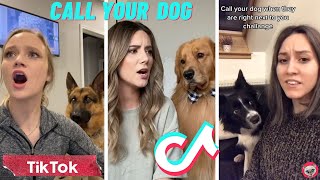 Call Your Dogs Name When Theyre Right Next To You 🐶 TikTok Compilation [upl. by Jeffie]