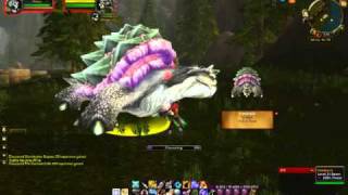 Ironback Tame  Rare Spawn Turtle in the Hinderlands [upl. by Lasala]