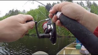 WayTooEasy Walleye Fishing on Sawbill Lake BWCA [upl. by Aerdnahs750]