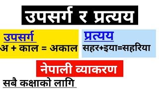 उपसर्ग र प्रत्यय  नेपाली ब्याकरण  पुरै जानकारी  उदाहरण सहित  SPECIAL KNOWLEDGE [upl. by Giralda6]