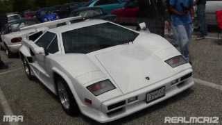 Lamborghini Countach Replica [upl. by Eivol699]