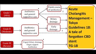 Acute Cholangitis Management – Tokyo Guidelines 18 A tale of forgotten CBD stent post ERCP [upl. by Nrol722]