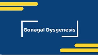 gonadal dysgenesis [upl. by Yneffit799]