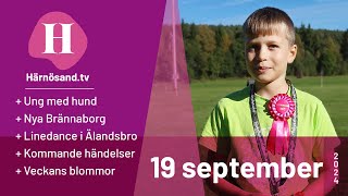 Härnösandtv  19 september 2024 [upl. by Clance439]