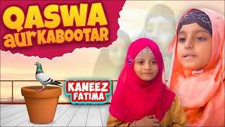 Qaswa Aur Kabootar  Kaneez Fatima New Episode  Kaneez Fatima Special Series 2022 [upl. by Maitilde]