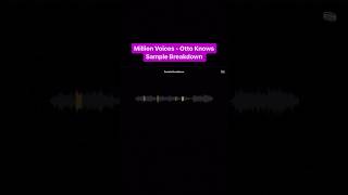 Sample breakdown of Million Voices by Otto Knows credit tracklib [upl. by Ailedamla]