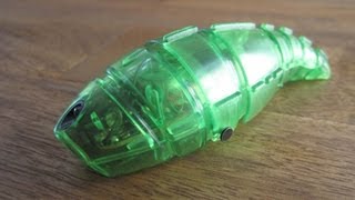 Hexbug Larva Micro Robotic Creature Hands On Review [upl. by Engen858]