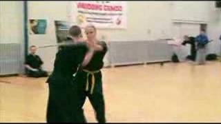 Haidong Gumdo swordfighting demonstration [upl. by Eltotsira278]