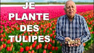 COMMENT PLANTER DES BULBES 🌷POUR LHIVER TULIPES JACINTHES MUSCARI CROCUS [upl. by Sucrad]