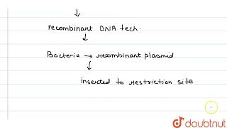 To which of the following techniques would you associ ate the phenomenon of insertional inactiv [upl. by Carina]