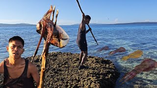 Hari Ke 15 di Pulau Terpencil BANYAK CUMI BERKELIARAN DI DEPAN GUBUK KAKEK [upl. by Ayhtin526]