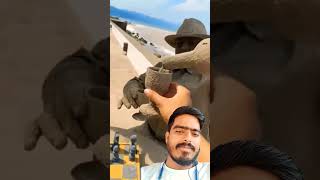 Sand Man drink sandman trending green screen greenscreen [upl. by Ylekalb778]