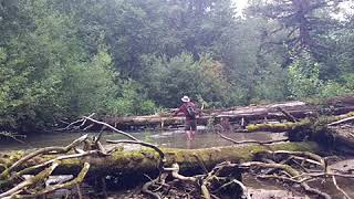 Little fly fishing on the Cascade River [upl. by Ellohcin]