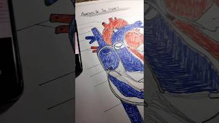 Human heart diagram ❗ shorts ytshorts mbbs [upl. by Natsirk]