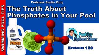 The Truth About Phosphates in Your Pool [upl. by Enenej]