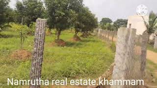 land for sale NTR dist 7 ecra near thaar road bit 33 lakhs per ecra [upl. by Gally]