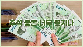 ep20  추석 용돈 받는 어른이 현금생활 유부의현금생활 [upl. by Annekahs]