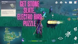 Electro Bird Puzzle get Stone Slate  Moshiri Ceremonial Site Puzzle  Tsurumi Island [upl. by Melli]