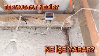 Termostat nedir Ne işe yarar [upl. by Arimak]