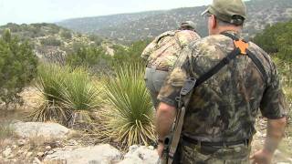 Giant Aoudad [upl. by Atnoed]