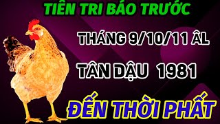 BÁO TRƯỚC SỰ THẬT TUỔI TÂN DẬU 1981 VẬN MAY LIÊN TIẾP ĐÚNG THÁNG 91011 ÂM LỊCH ĐỔI KIẾP GIÀU SANG [upl. by Prader]