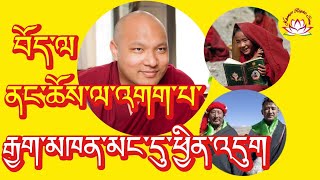 In Tibet many objections in Buddhism rumtekkarmaekhenpo karmapa dalailama rinpoche tttv voa [upl. by Ezequiel]