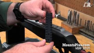 Lock Stock amp Barrel Changing the Rail on a Ruger 1022 Takedown [upl. by Enilorac]