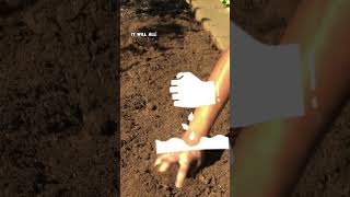 Preparing Raised Beds for the Next Gardening Season Soil amp Compost Tips [upl. by Ecarg]