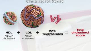 Total Cholesterol Score  Health Insiders [upl. by Arracahs]