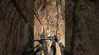 An eventful trail 😀 mtb pov downhill trail hardtail [upl. by Eelyah]