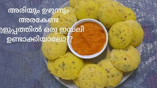 നല്ല പൂ പോലത്തെ റവ ഇഡലി ഉണ്ടാക്കി നോക്കൂHealthy Break fast recipeRava Idali Recipe in Malayalam [upl. by Winona349]