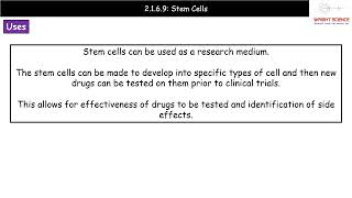 A Level Biology  2169  Stem Cells [upl. by Oirevas]