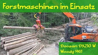 Doosan Radbagger mit Woody H61 Harvester [upl. by Ielak902]