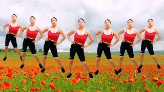 aerobics exercise reduce belly fat slim waist fat burning lose weightlovely dance fit [upl. by Giraldo]