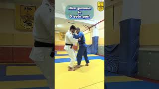 Combinations in Judo 2 judo [upl. by Armillda]