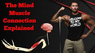 The mind muscle connection explained [upl. by Switzer]