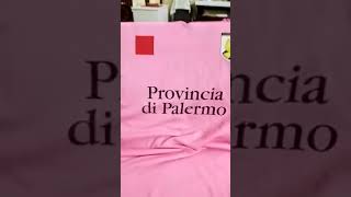 forza palermo sempre [upl. by Ahsikit]