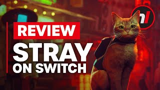 Stray Nintendo Switch Review  Is It Worth It [upl. by Dobson]