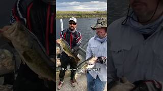 Everglades weekend fishing tour no experience no problem florida fishingtrip ng [upl. by Neirad]