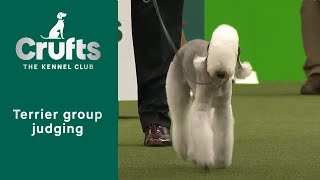 Group Judging Terrier and Presentation  Crufts 2023 [upl. by Nawuj351]