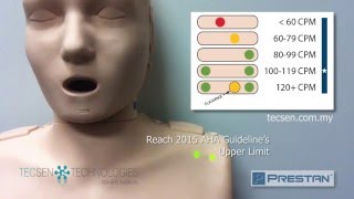 PRESTAN CPR Training Manikin meets 2015 AHA CPR Guidelines [upl. by Eahcim]