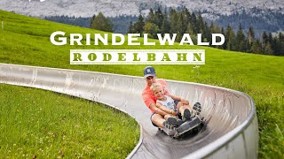 Grindelwald Rodelbahn  Toboggan ride  Switzerland 4K 60fps video [upl. by Enaek]