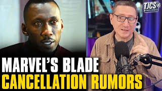 Marvel Has Cancelled Blade Rumors As Disney Pulls It From Schedule [upl. by Sprague]