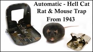 The Automatic  HellCat Mouse amp Rat Trap From 1943 Mousetrap Monday [upl. by Hsemar]