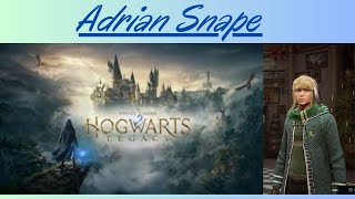 Hogwarts Legacy  20  Alleviamo le Creature Magiche [upl. by Lerim]