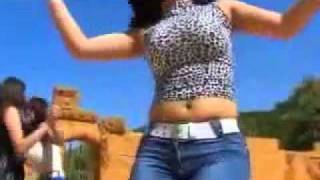 Raqsi arab Arabic Dance Plan B 2010 shazi raqs رقص جديد [upl. by Angle949]