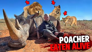 This Rhino Poacher Was EATEN ALIVE By Pride of LIONS [upl. by Gish589]