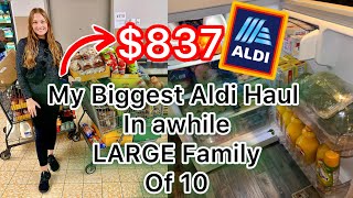 My BIGGEST ALDI Haul in a LONG Time  LARGE FAMILY Grocery Haul [upl. by Helgeson]