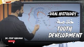 tooth development كامل  oral histology  عزت شومان [upl. by Odrareg609]